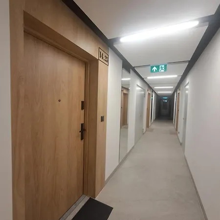 Nata 2 Katowice